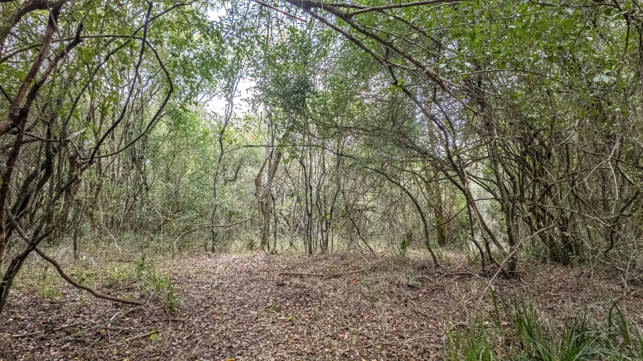 Commercial Property for Sale in Sedgefield Rural Western Cape